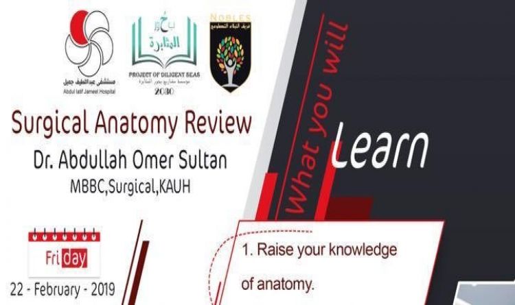 Surgical Anatomy Review