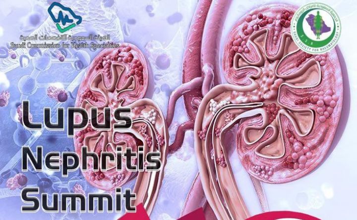 Lupus Nephritis Summits