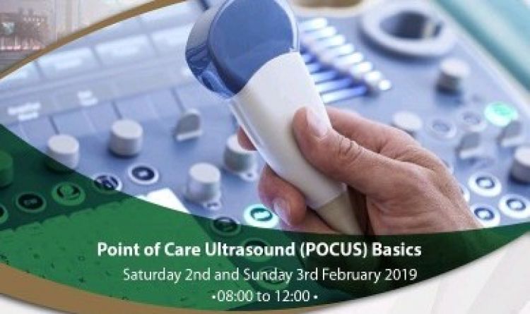 Point of Care Ultrasound (POCUS) Basics
